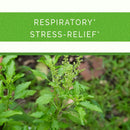 Tulasi Respiratory Sri Sri Tattva Canada