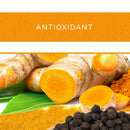 Turmeric Plus by Sri Sri Tattva Canada