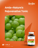 Fresh Amla (Indian Gooseberry) close-up — Phyllanthus emblica, whole-fruit vitamin C and antioxidants, Ayurved