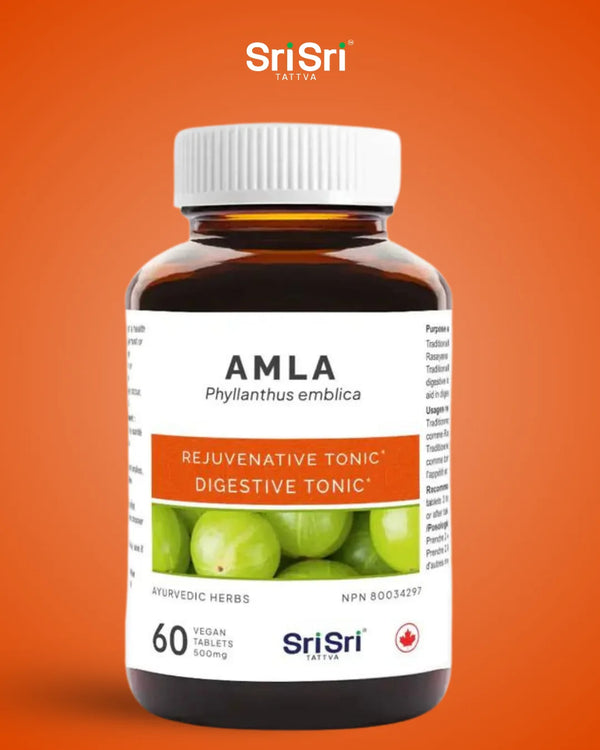 Amla tablets bottle hero — Ayurvedic digestive tonic and rejuvenative (rasayana), NPN listed in Canada