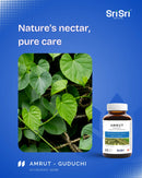 Ayurvedic Guduchi leaves (Giloy, Tinospora cordifolia) — Amrut tablets, organic rasayana for daily wellness in Canada