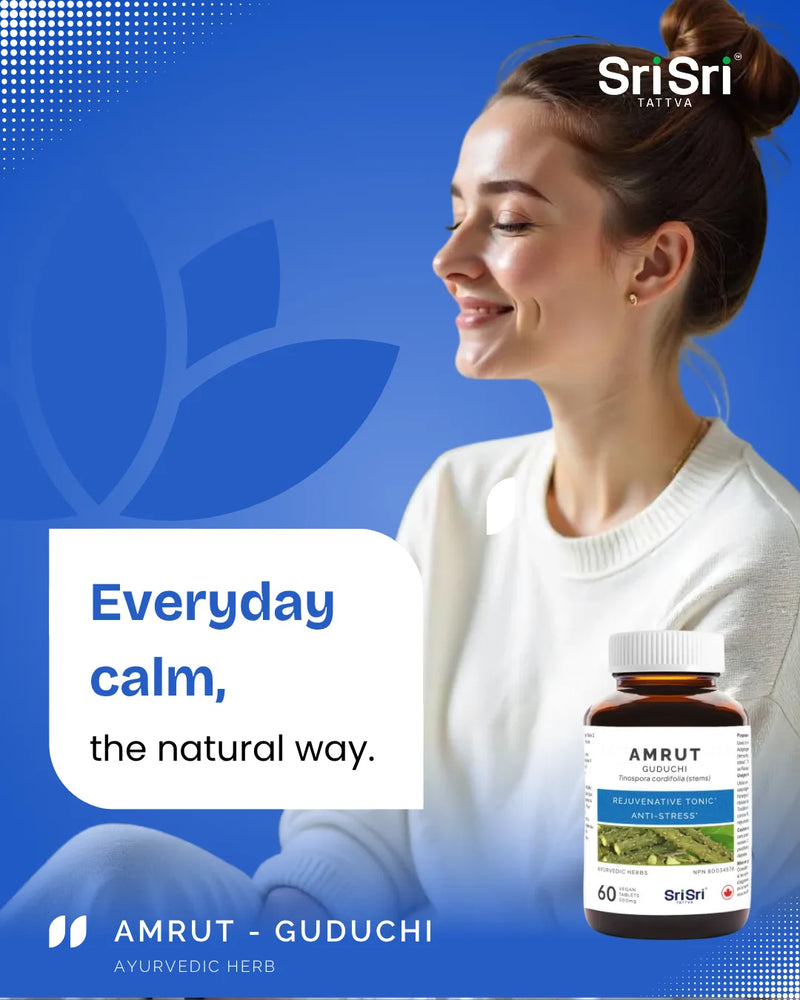 Everyday calm with Amrut Guduchi — Ayurvedic Giloy tablets for steady days; clean label, Canada