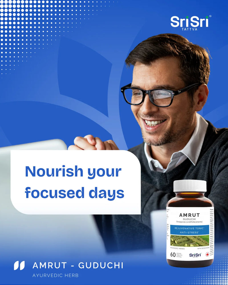 Amrut Guduchi (Giloy) tablets — focus and balanced energy the natural way; clean vegan, non-GMO, Canada