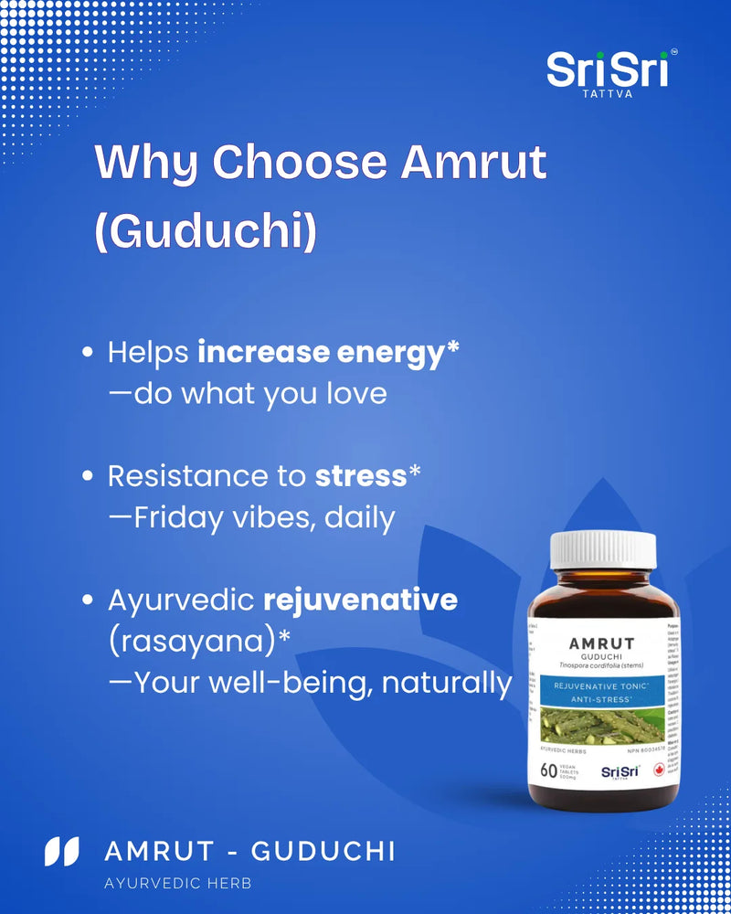 Why choose Amrut Guduchi — helps increase energy*, resistance to stress*, Ayurvedic rejuvenative (rasayana); NPN Canada