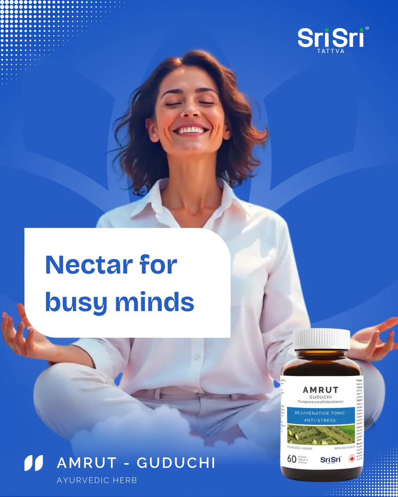 Amrut Guduchi tablets — ‘nectar’ herb for busy minds; Giloy Tinospora cordifolia Ayurvedic rasayana in Canada”