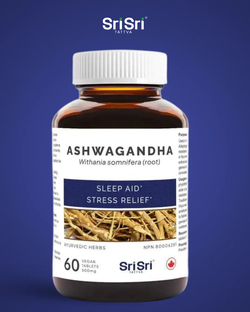 Close-up bottle of Ashwagandha (Withania somnifera) — Ayurvedic herb, NPN sleep aid and stress support in Canada