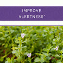 Brahmi for memory and cognition by Sri Sri Tattva Canada