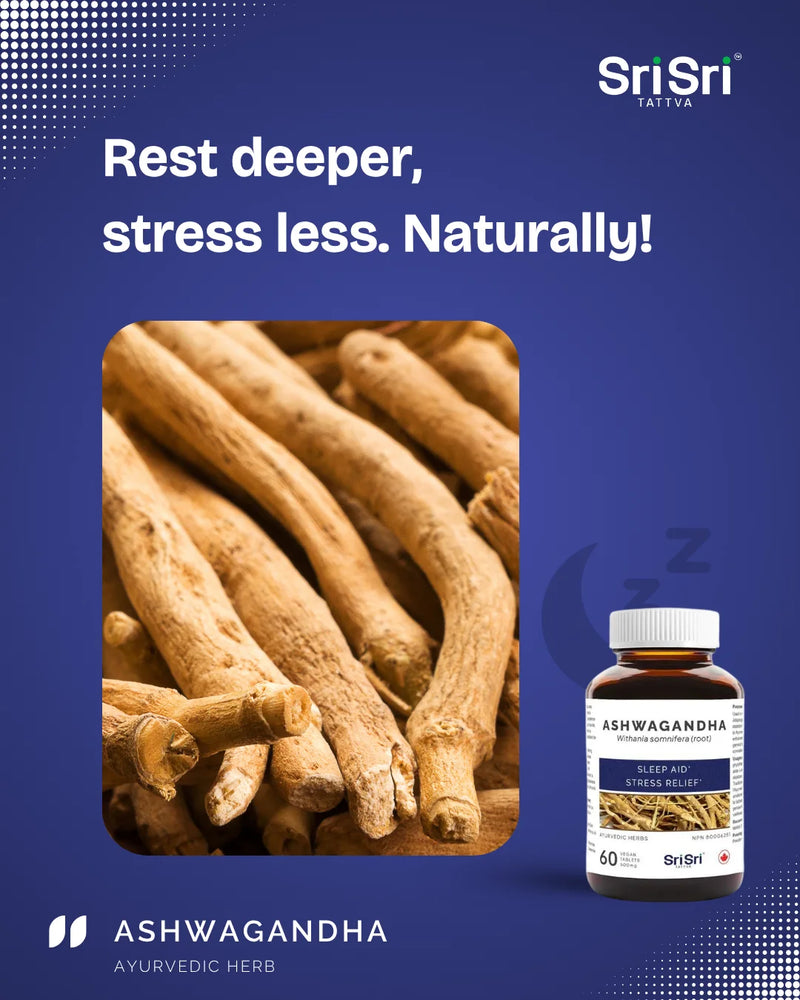 Dried Ashwagandha roots — Withania somnifera Ayurvedic herb used in Canadian sleep aid tablets