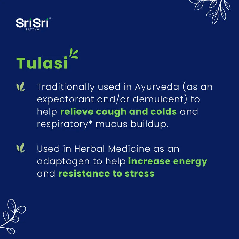 Tulasi herb for cough and cold