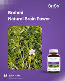 Fresh Brahmi (Bacopa monnieri) herb — natural brain power ingredient for memory and clarity in Ayurveda