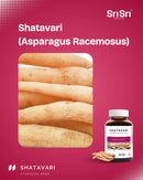 Close-up image of the Shatavari root (Asparagus Racemosus), next to the product bottle, showing the herb source