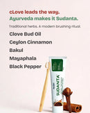 Sudanta Ayurvedic toothpaste tube and wooden toothbrush on a light beige background with product ingredients listed on the left: clove bud oil, ceylon cinnamon, bakul, mayaphala, and black pepper.