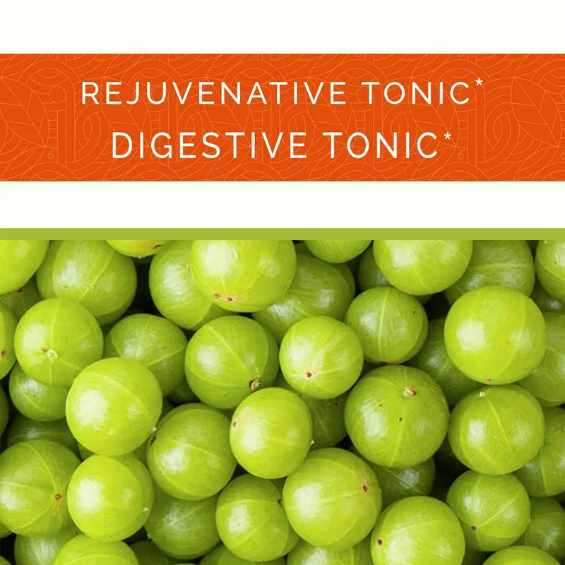 Amla Rejuvenative Tonic & Digestive Tonic by Sri Sri Tattva Canada